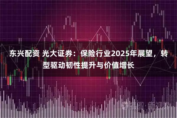 东兴配资 光大证券：保险行业2025年展望，转型驱动韧性提升与价值增长
